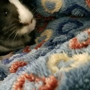 Meet your Posher, Christopher